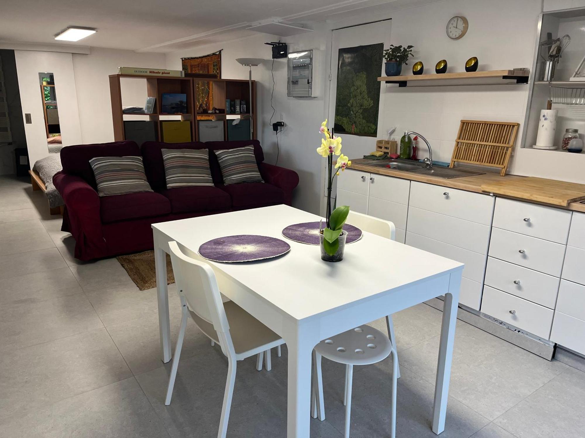 Studio Renove Rdc Terrasse Wepion Namur Esterno foto