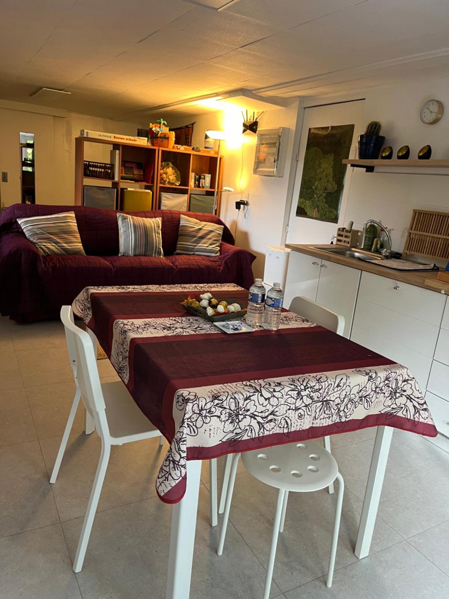 Studio Renove Rdc Terrasse Wepion Namur Esterno foto